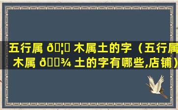 五行属 🦋 木属土的字（五行属木属 🌾 土的字有哪些,店铺）